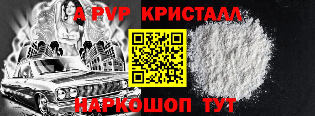A PVP СК КРИС Каменка