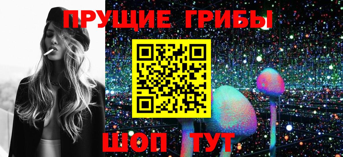 Псилоцибиновые грибы прущие грибы Каменка