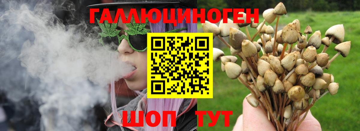 Каменка  Псилоцибиновые грибы ЛСД  Вход с VPN 